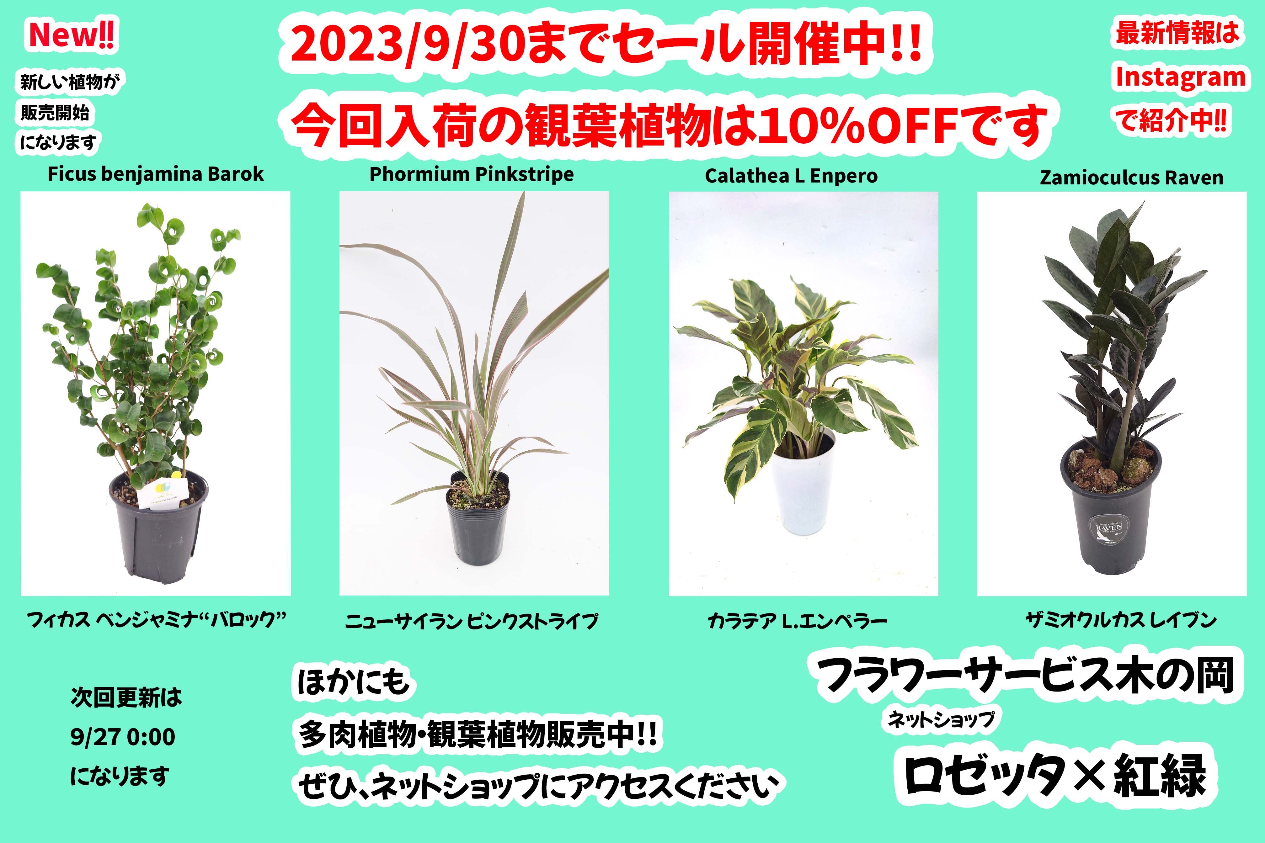 9/20 商品ラインナップ更新します