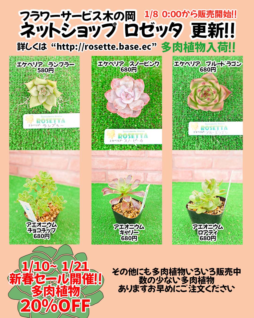 セールのお知らせと新商品入荷情報