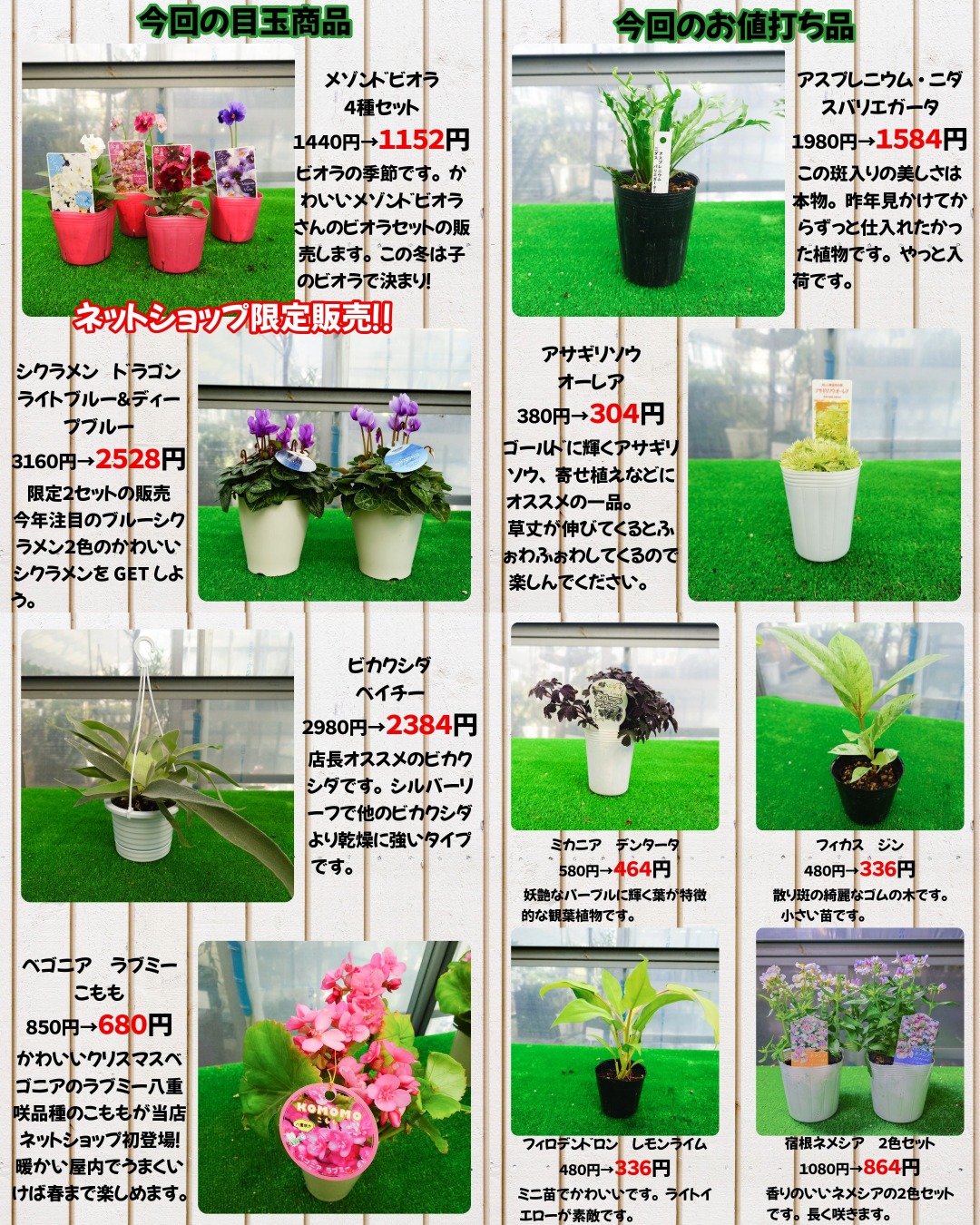 久々ネットショップ更新！