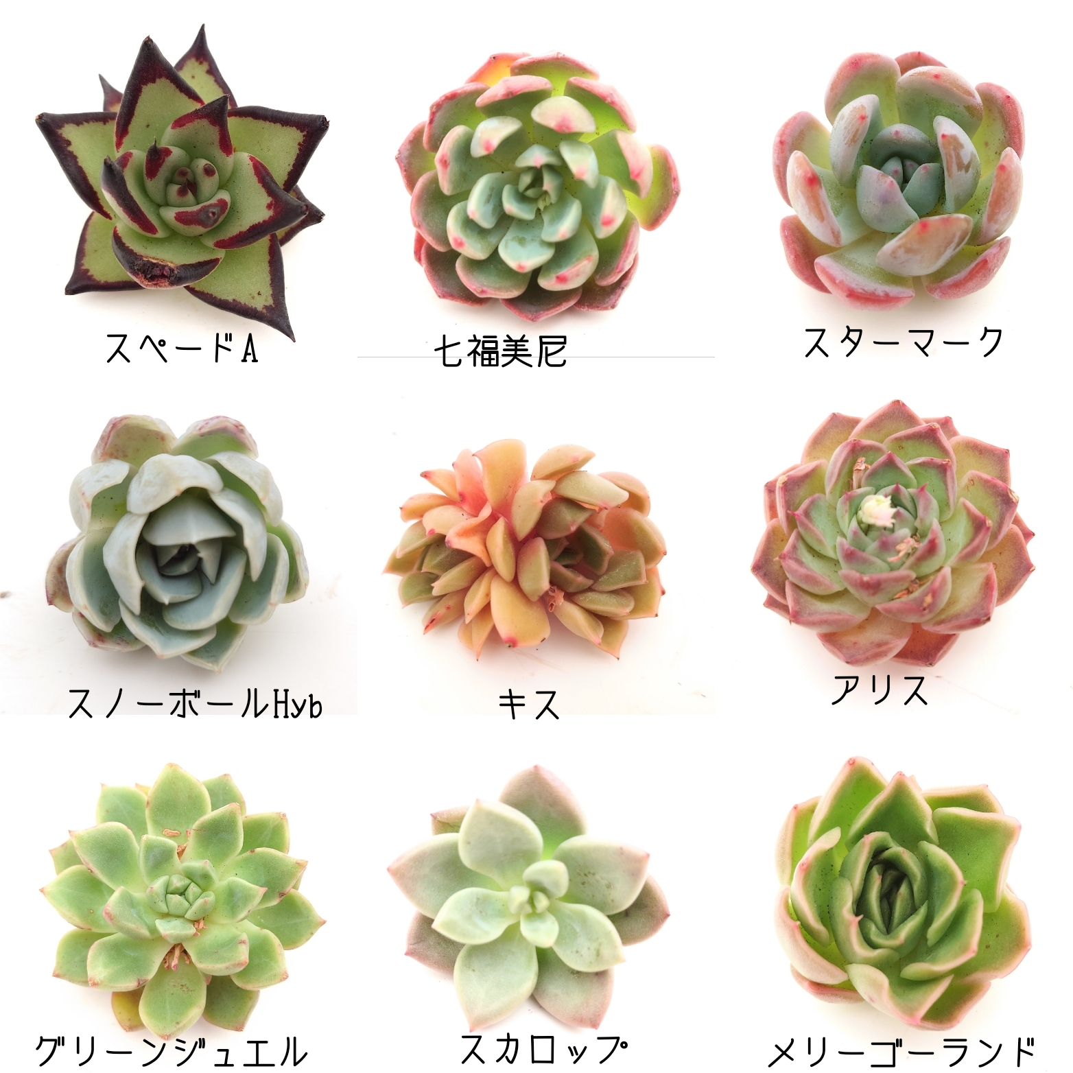 5/18商品ラインナップ更新します。