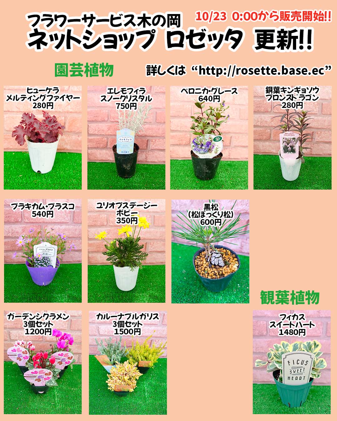 10/23商品ラインナップ更新です。