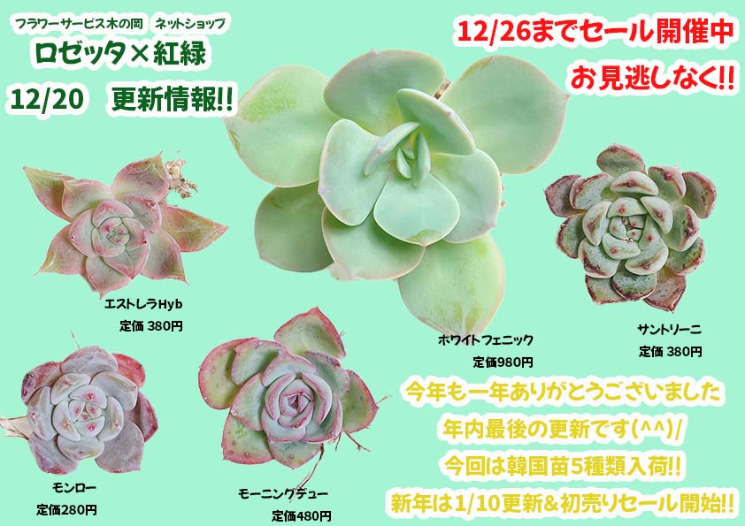 12/20商品ラインナップ更新