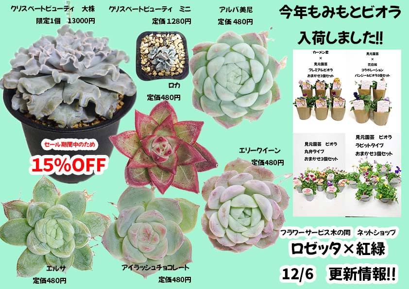 12/6商品ラインナップ更新