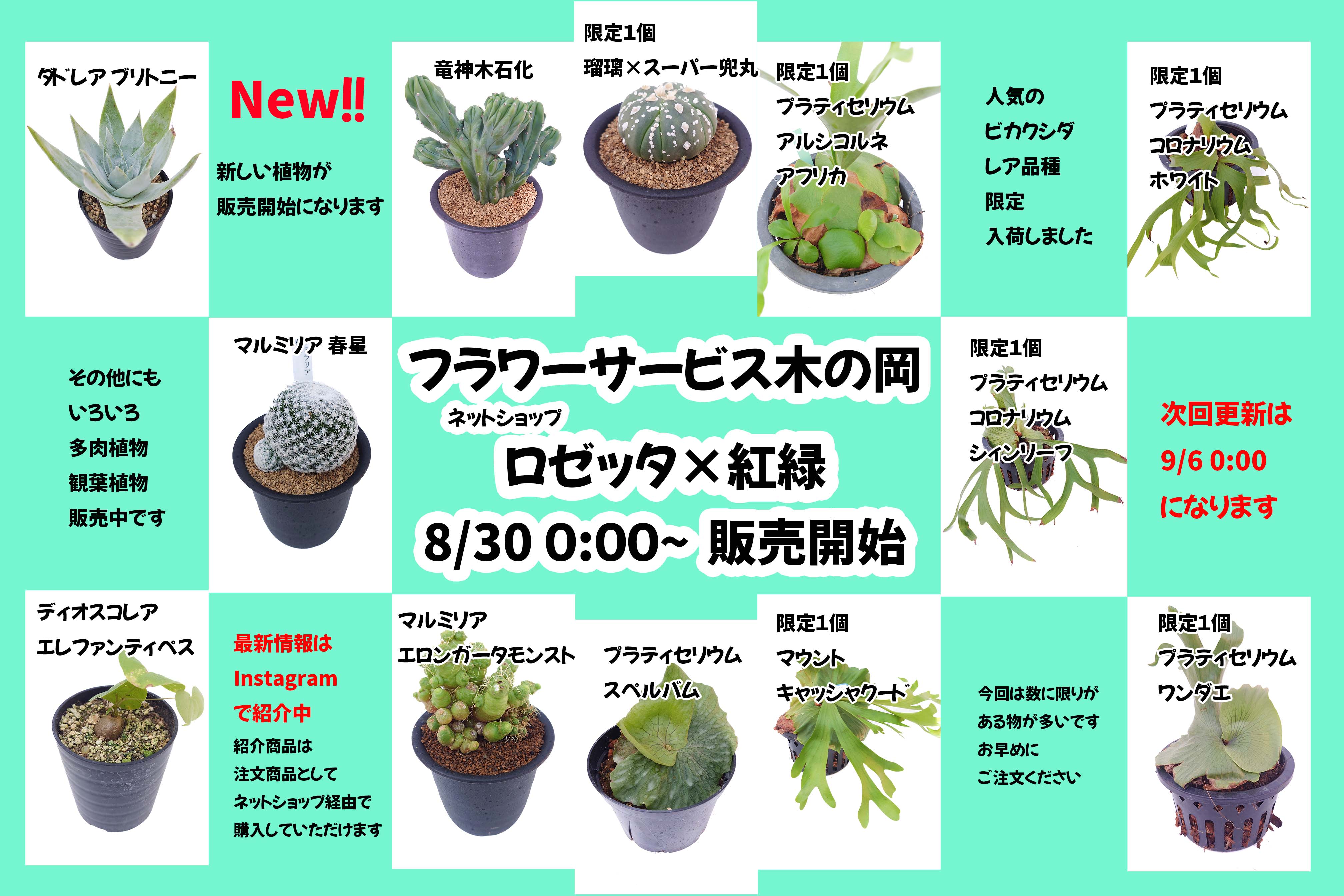 8/30 商品ラインナップ更新