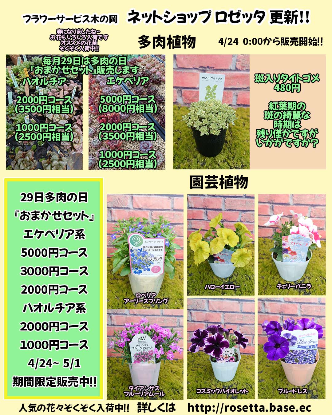 4/24商品ラインナップ更新