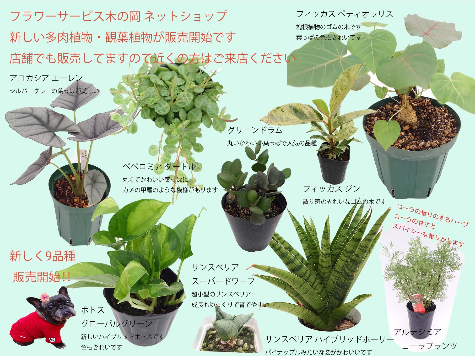 7/12 ネットショップ更新します。