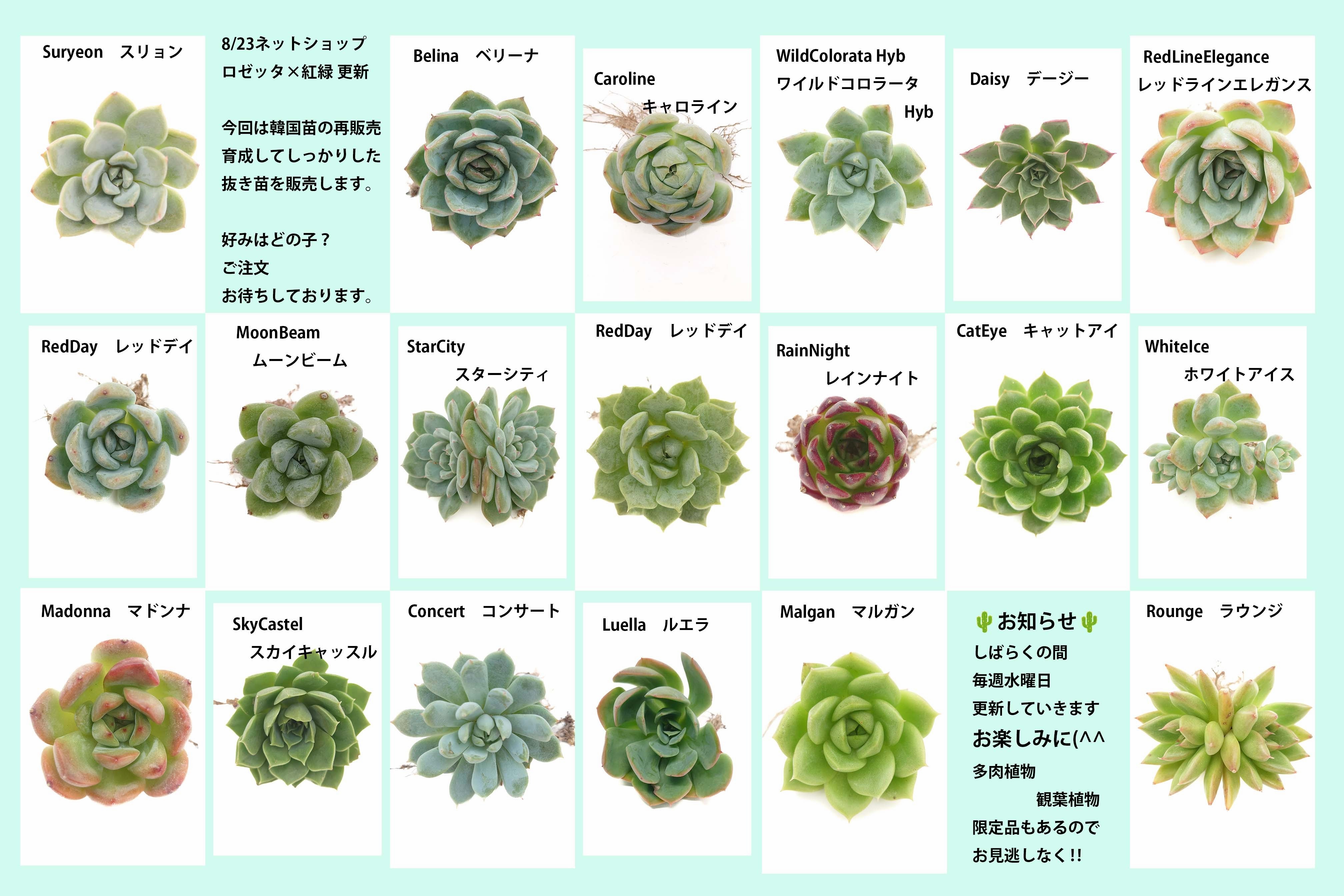 8/23 ラインナップ更新します