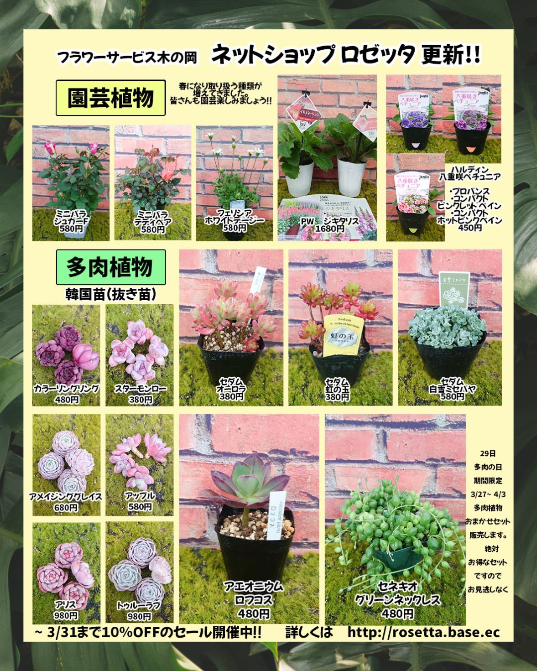 3/27商品ラインナップ更新＆PayIDフォローワー１０００人記念クーポンのお知らせ