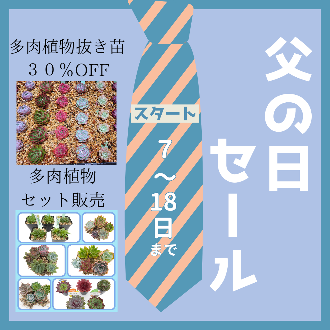 6/7〜6/18  父の日セール開催