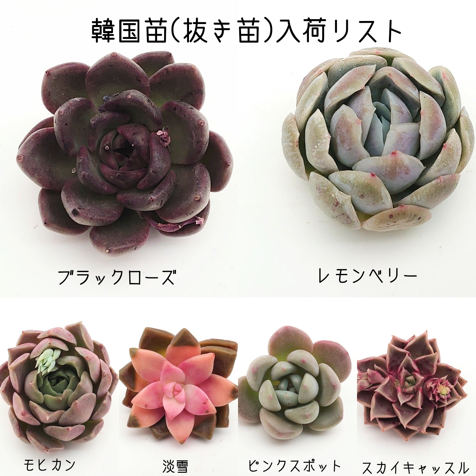 3月30日ラインアップ更新します。