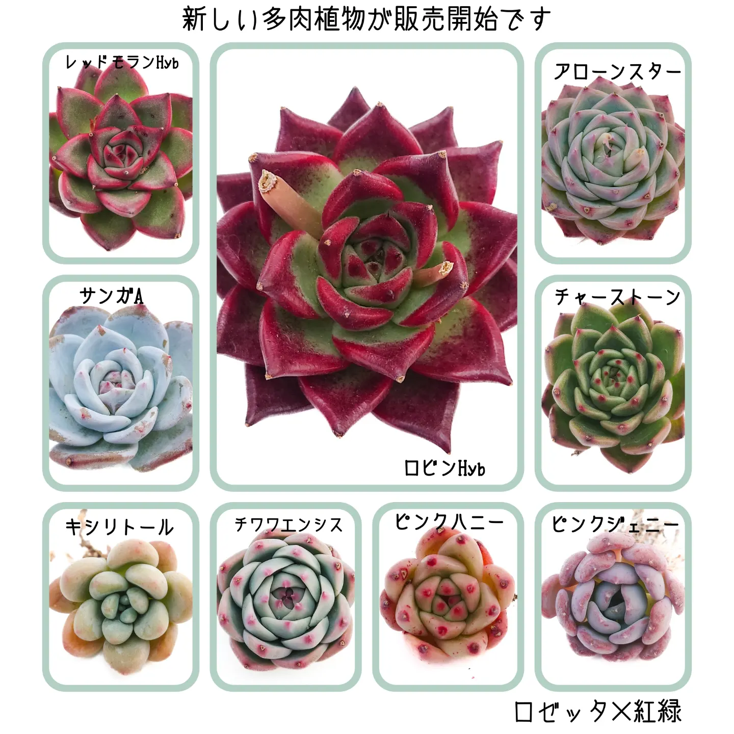 4/12 商品ラインナップ更新します