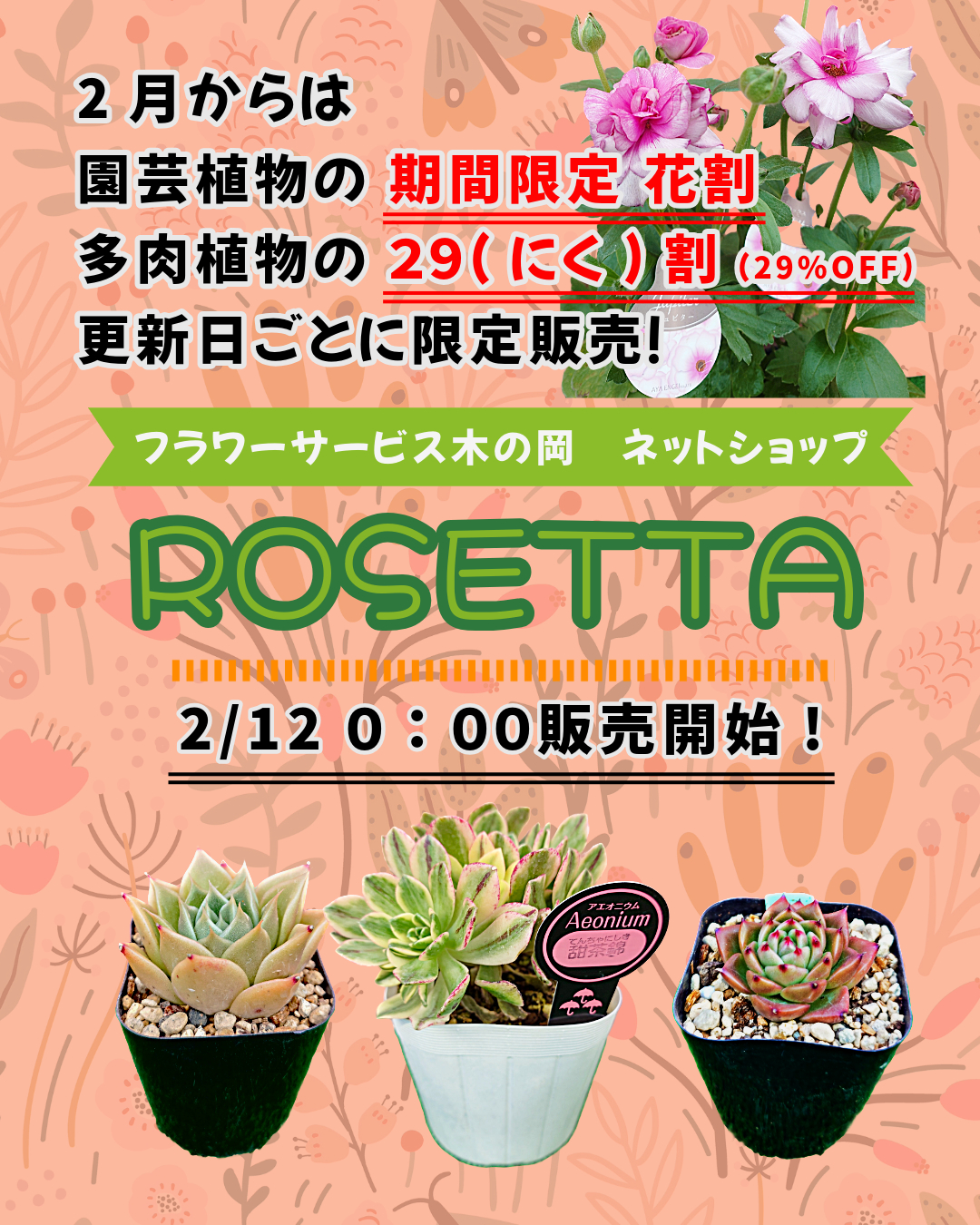 【2/12ロゼッタ更新】🌸花割＆🌵２９(にく)割がスタート！期間限定でお得にGET！