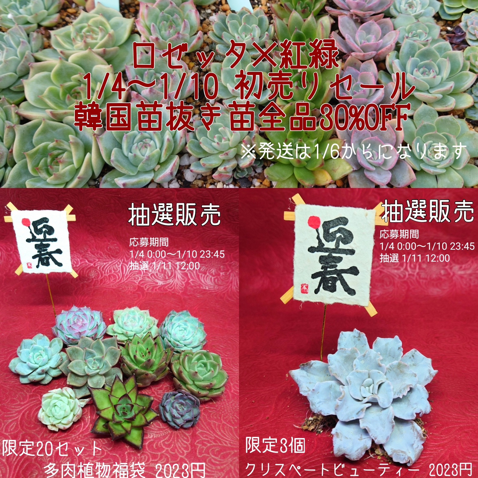 新年初売りのお知らせ