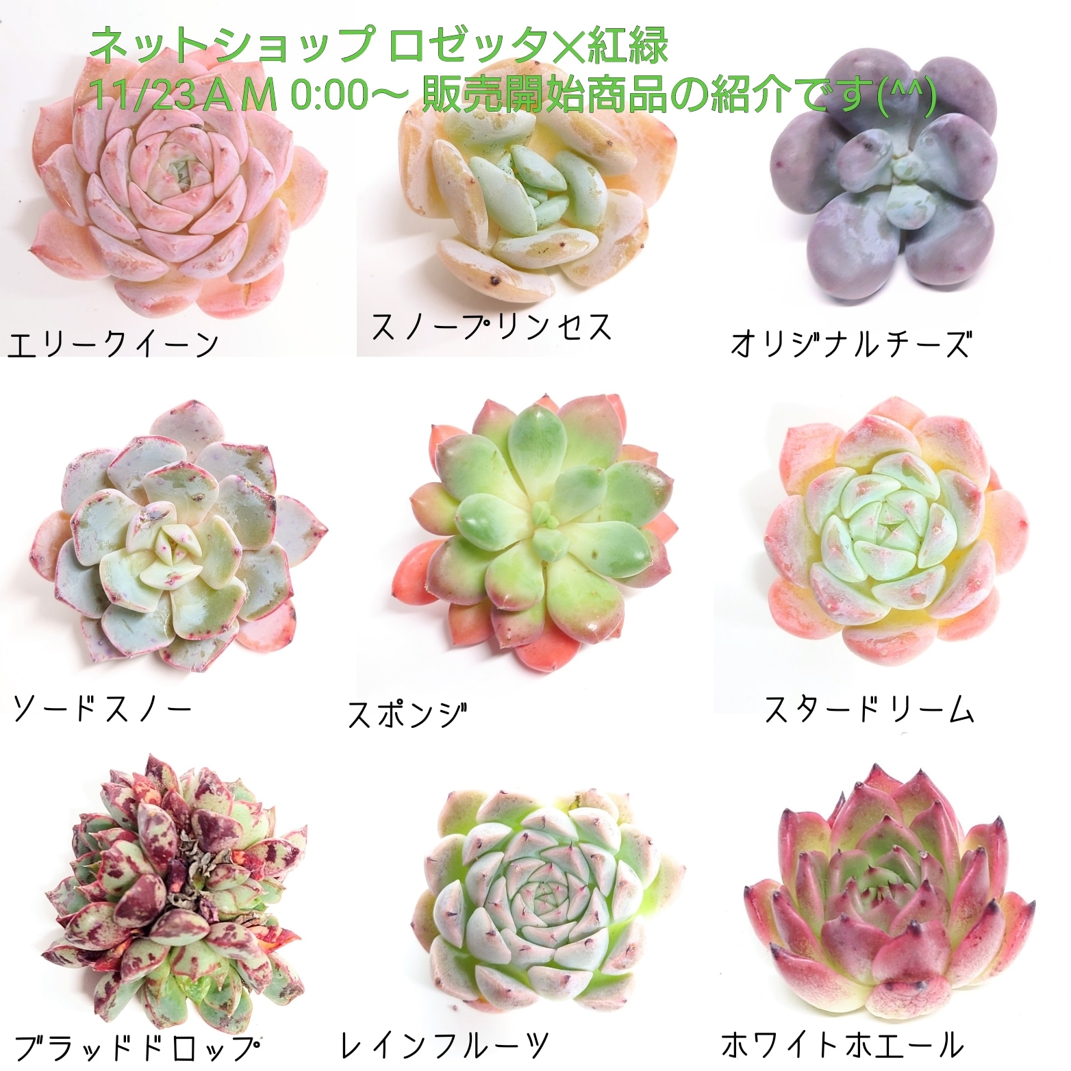 11/23 商品ライナップ更新します。