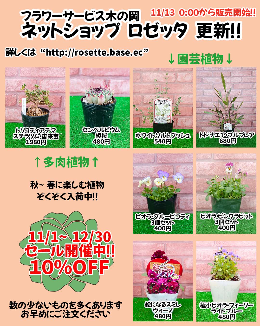 11/13商品ラインナップ更新