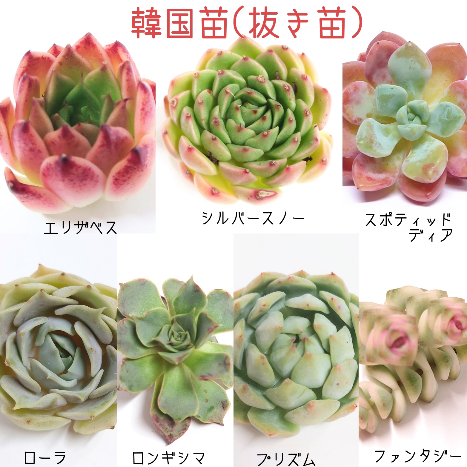 7/13 商品ラインナップ更新します。