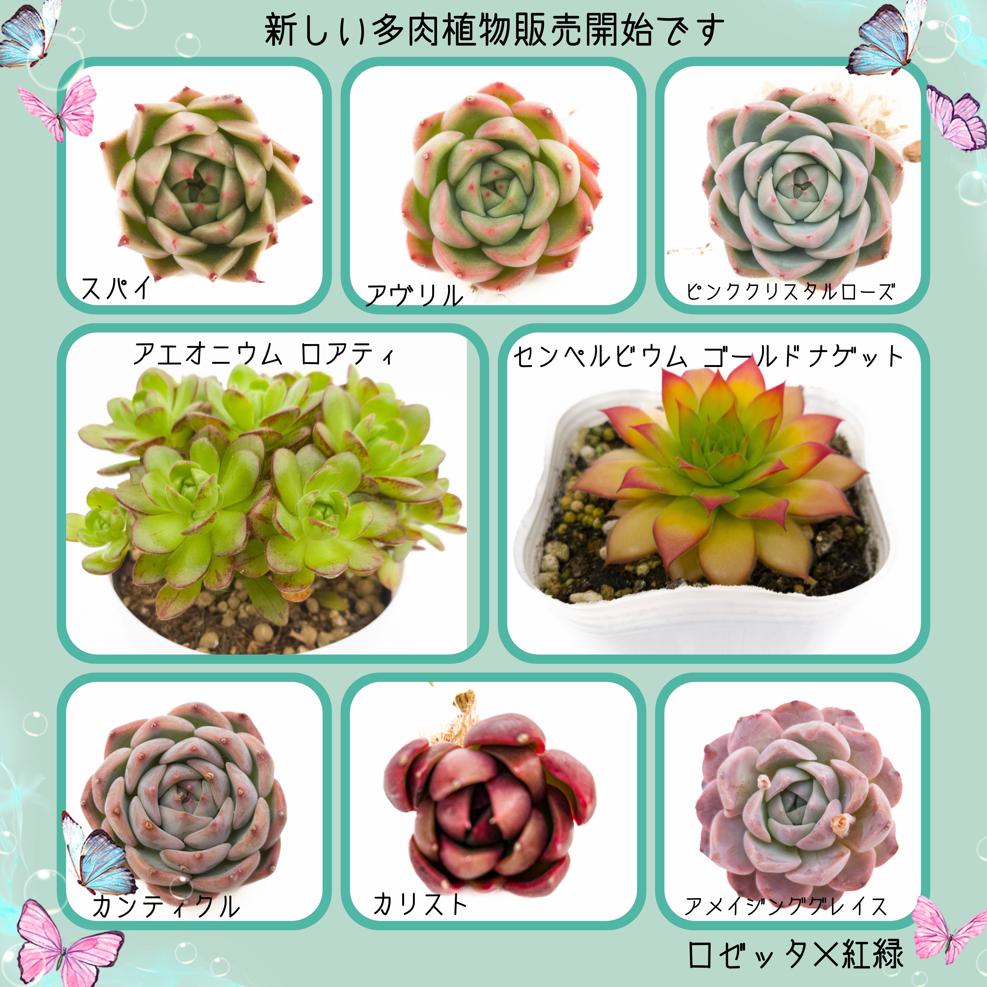 4/26 商品ラインナップ更新します