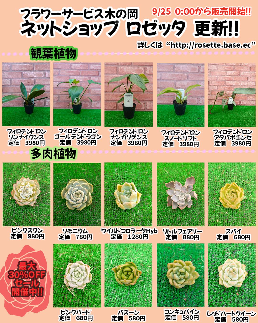 9/25商品ラインナップ更新‼