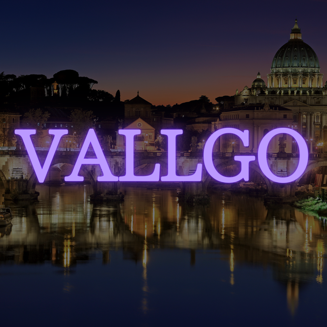 VALLGOについて