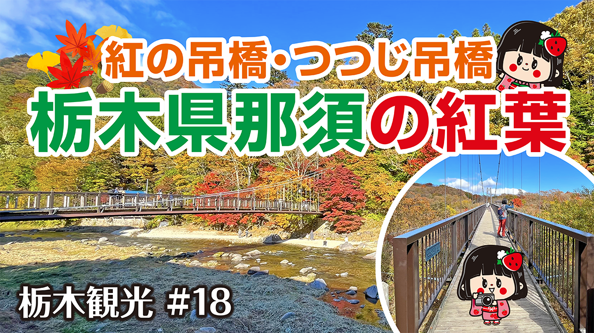 #30 栃木県那須の紅葉を振り返る動画をUP!!