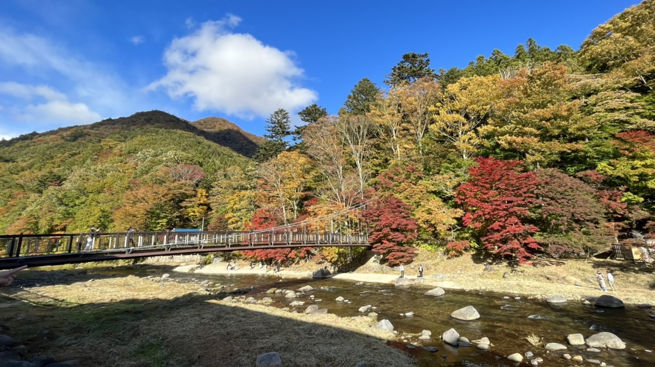 #28 栃木の紅葉！