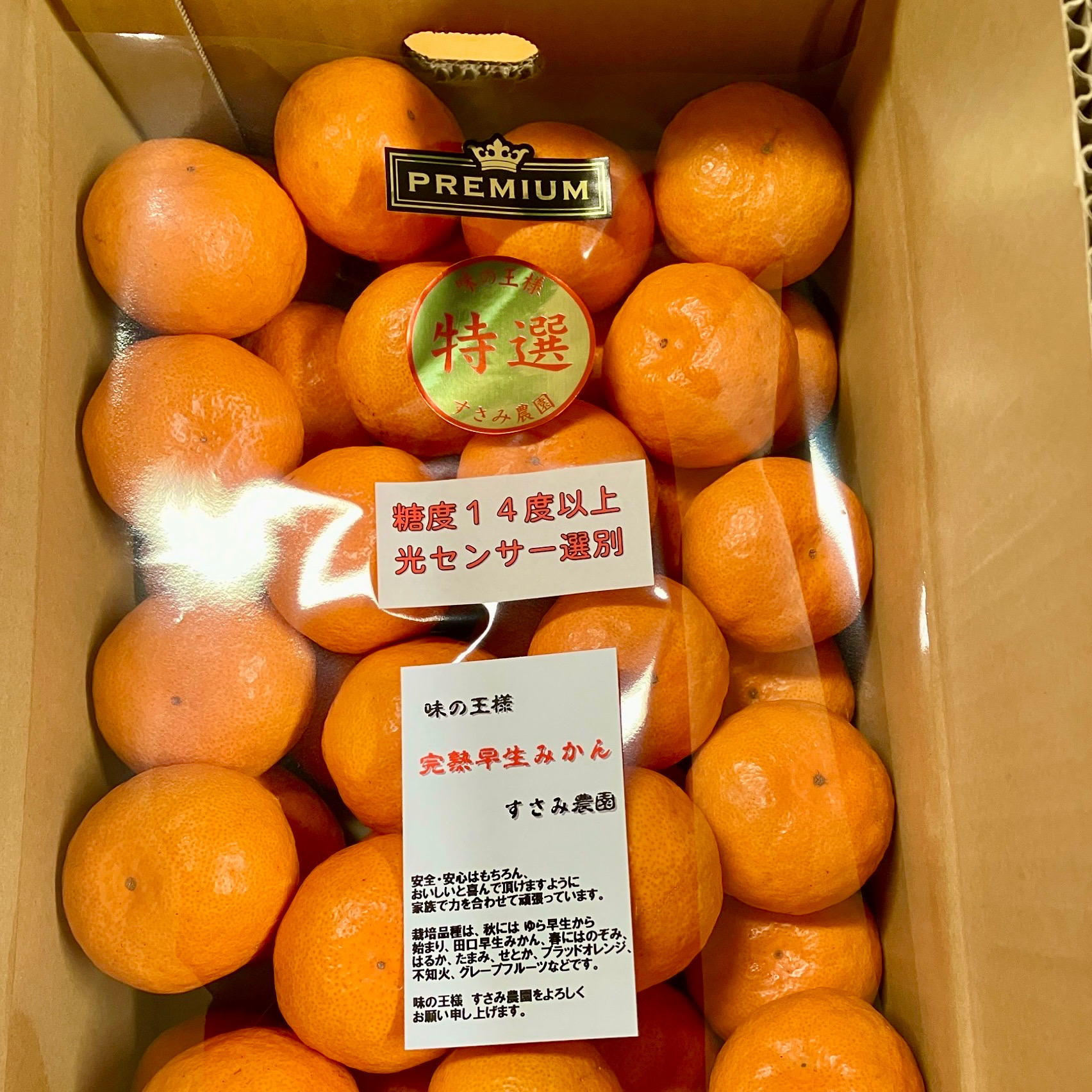 完熟早生みかん(宮川早生)のセンサー品が出ました！