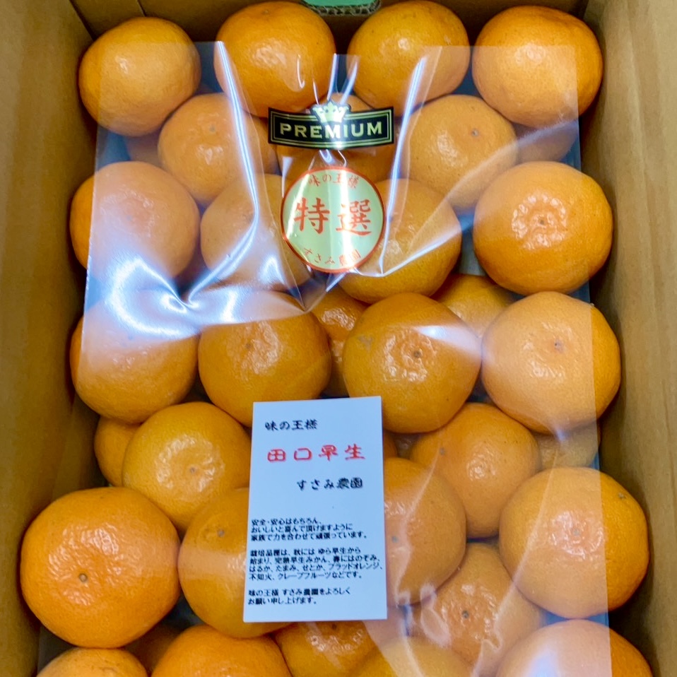 田口早生を販売中です！