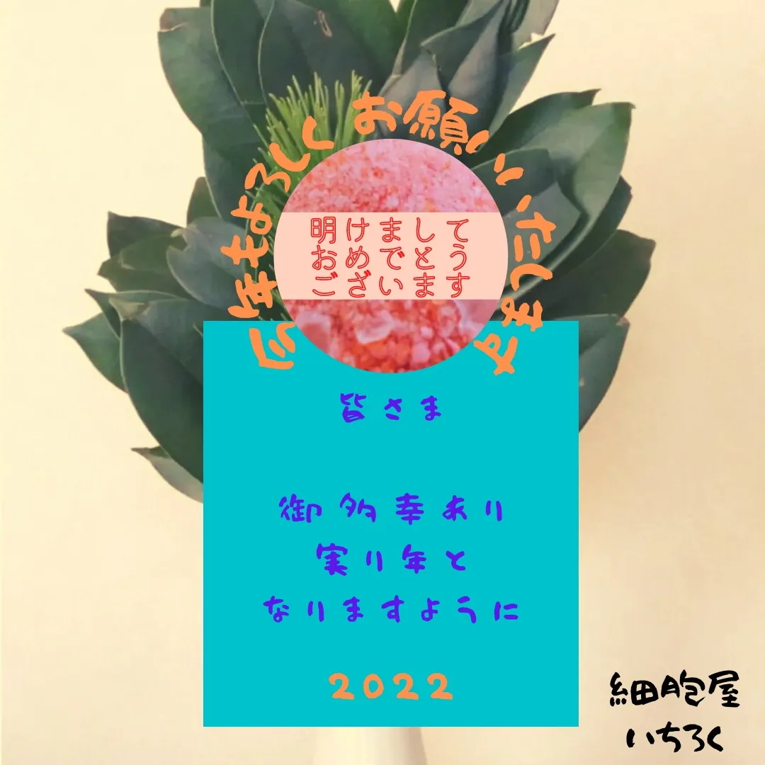 明けましておめでとうございます