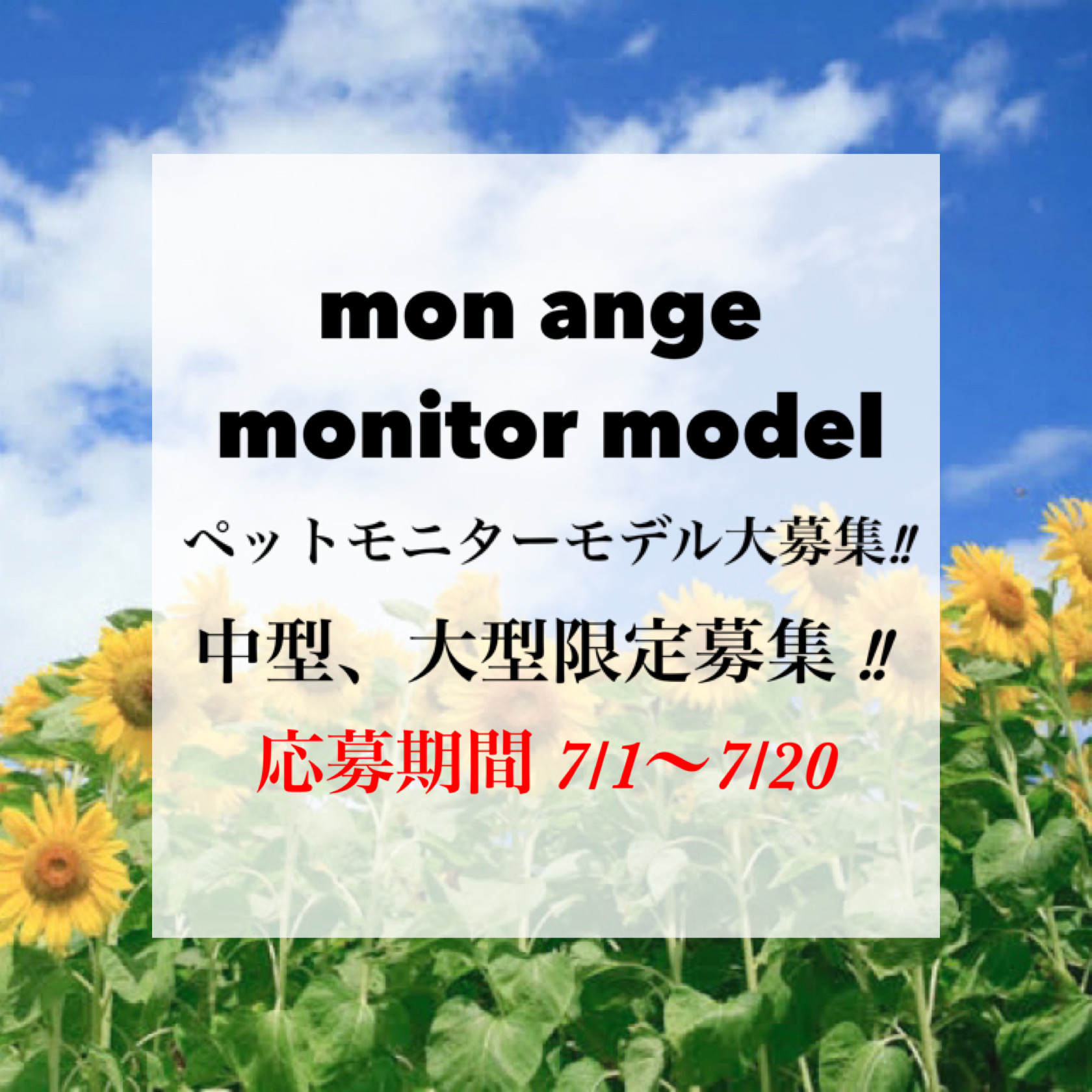 7/1中型、大型限定‼︎モニターモデル募集開始♡