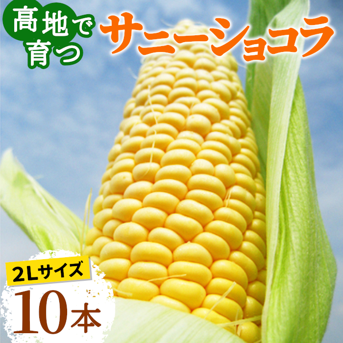 とうもろこし（サニーショコラ）の収穫・発送が始まりましたよぉ～♪