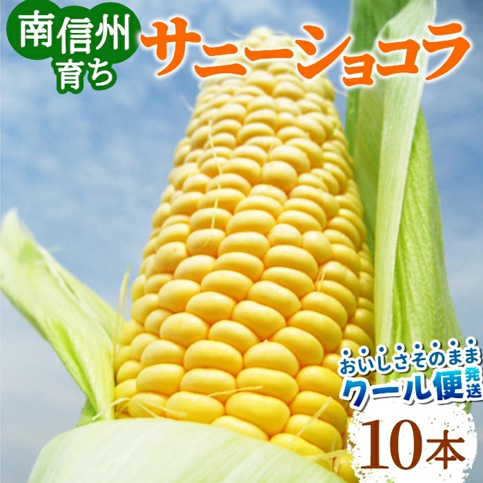 夏の味覚♪南信州産のとうもろこし「サニーショコラ」の出荷がいよいよ始まります！！