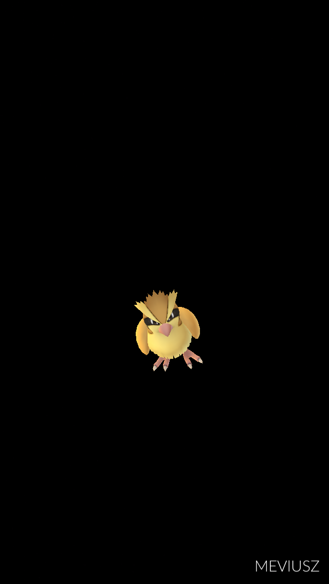 ポケモン