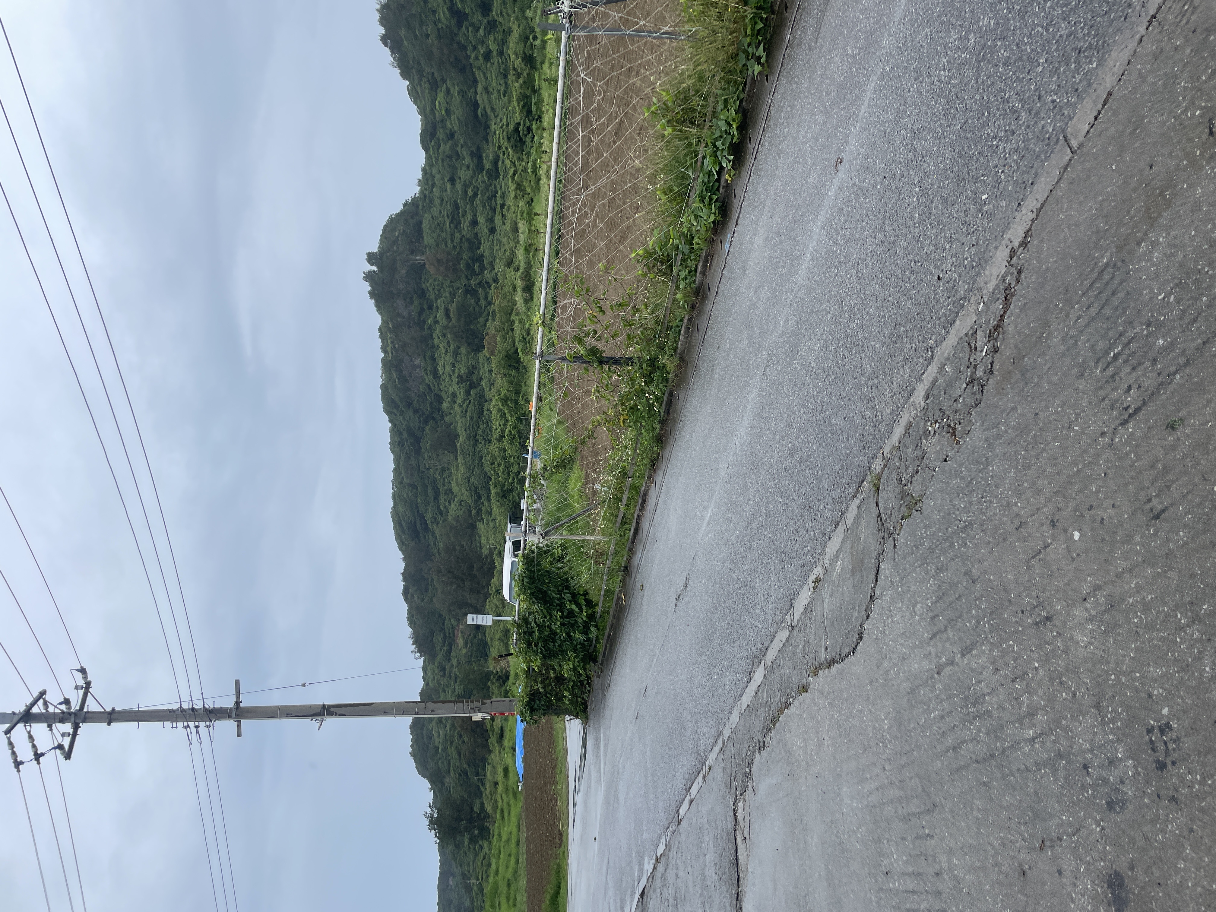 今日の担当は俺やで！