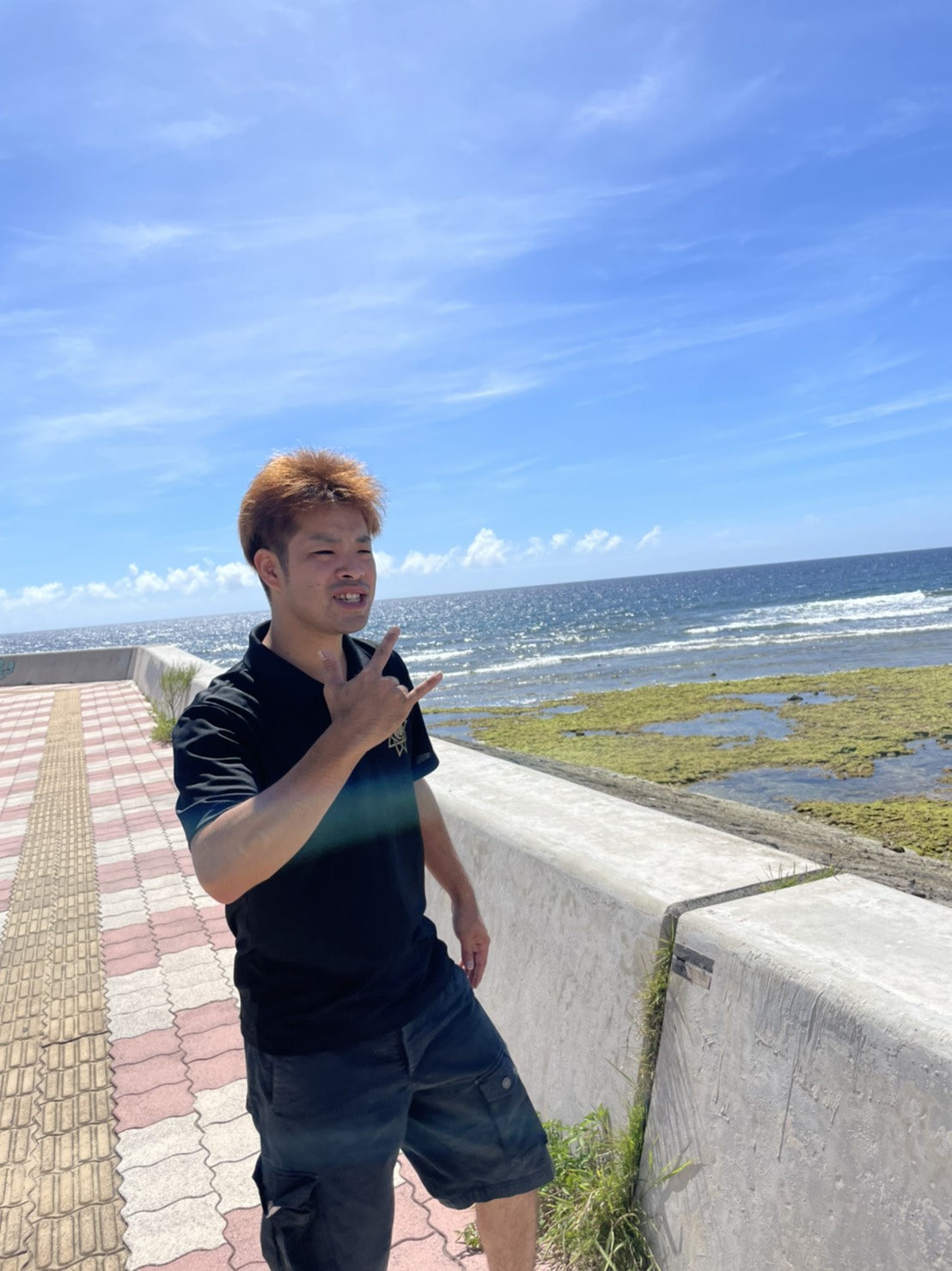夏がほら…