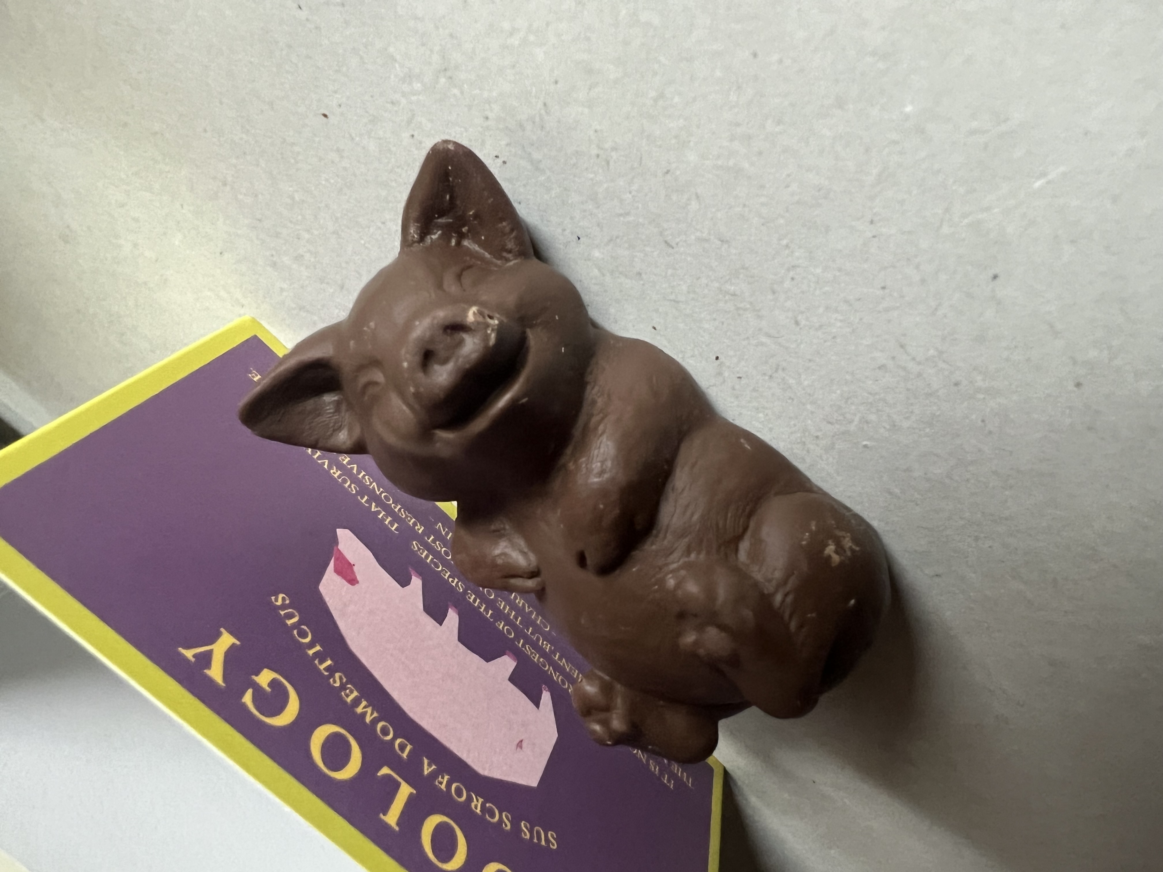 うそしーまさしーさとしー