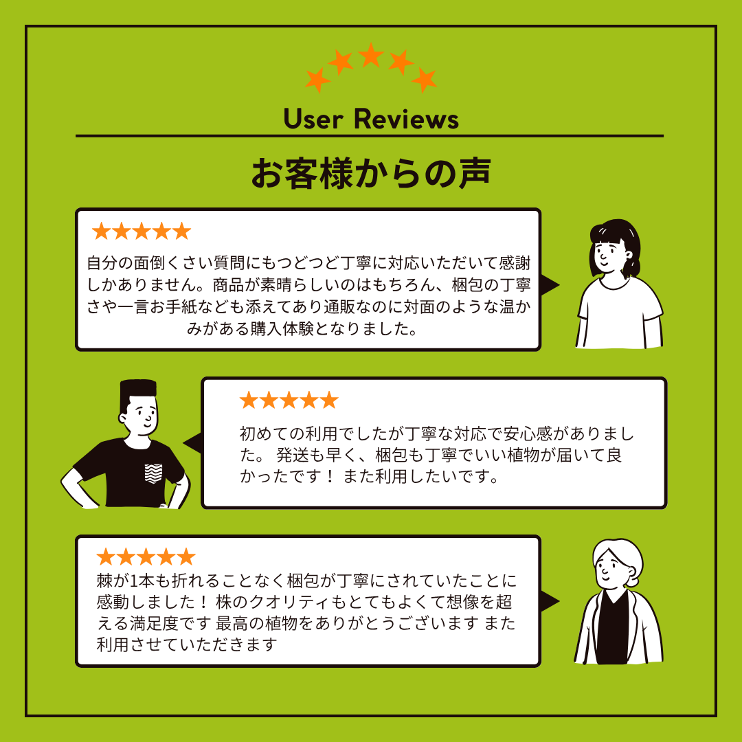 🌵お客様の声🌵