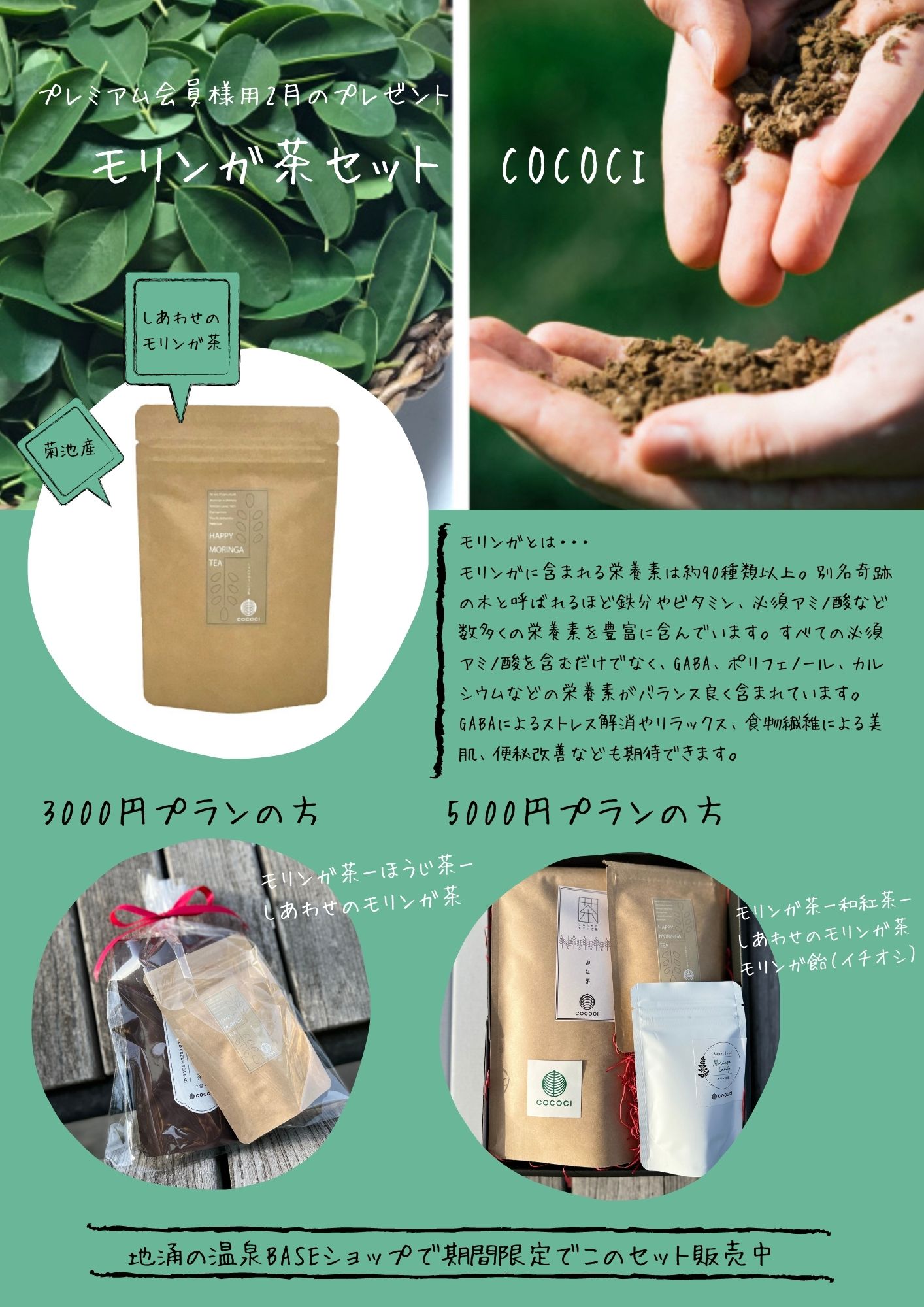 2月のプレゼントはモリンガ茶セレクトセットです！
