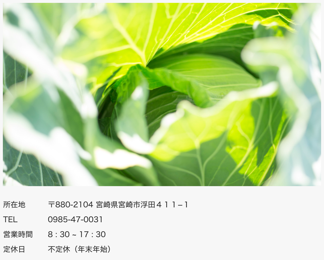 サイトがオープンしました！
