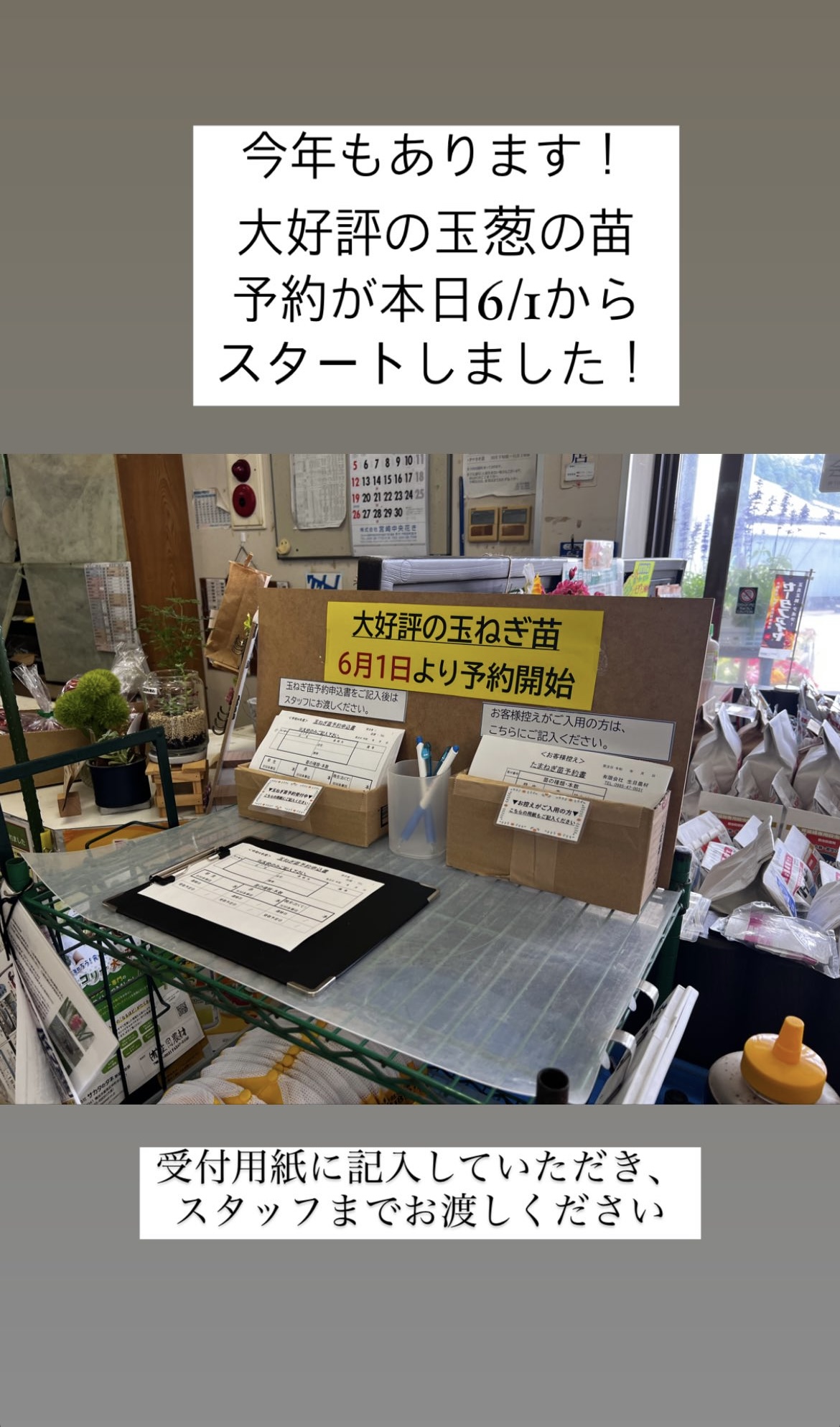 本日から玉葱の苗予約スタート！