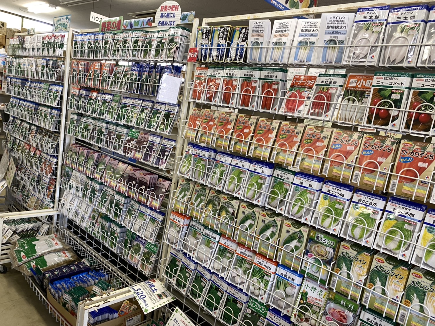 ９月　おすすめ商品・入荷情報について