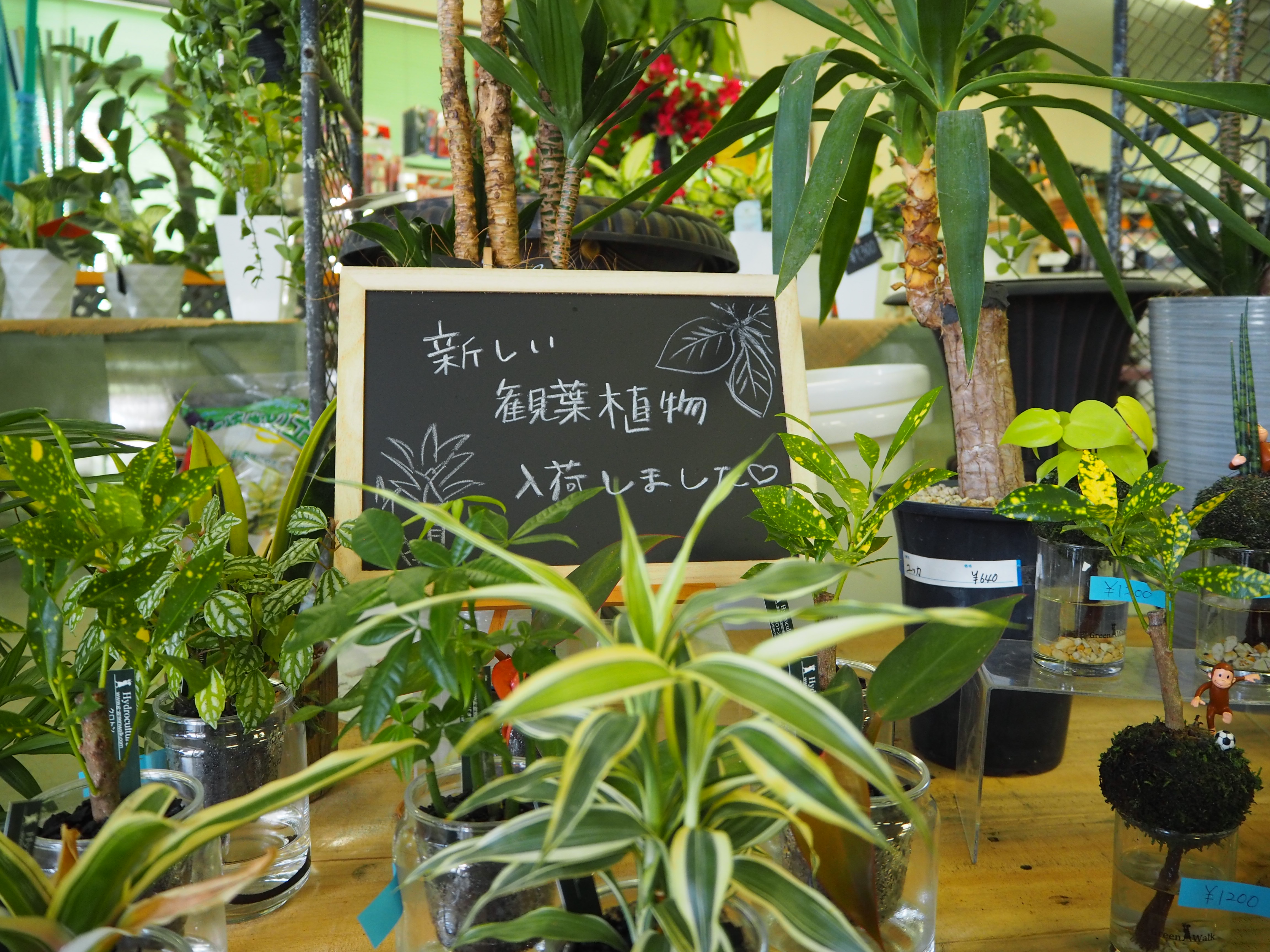 ＊お盆休みのお知らせ＊