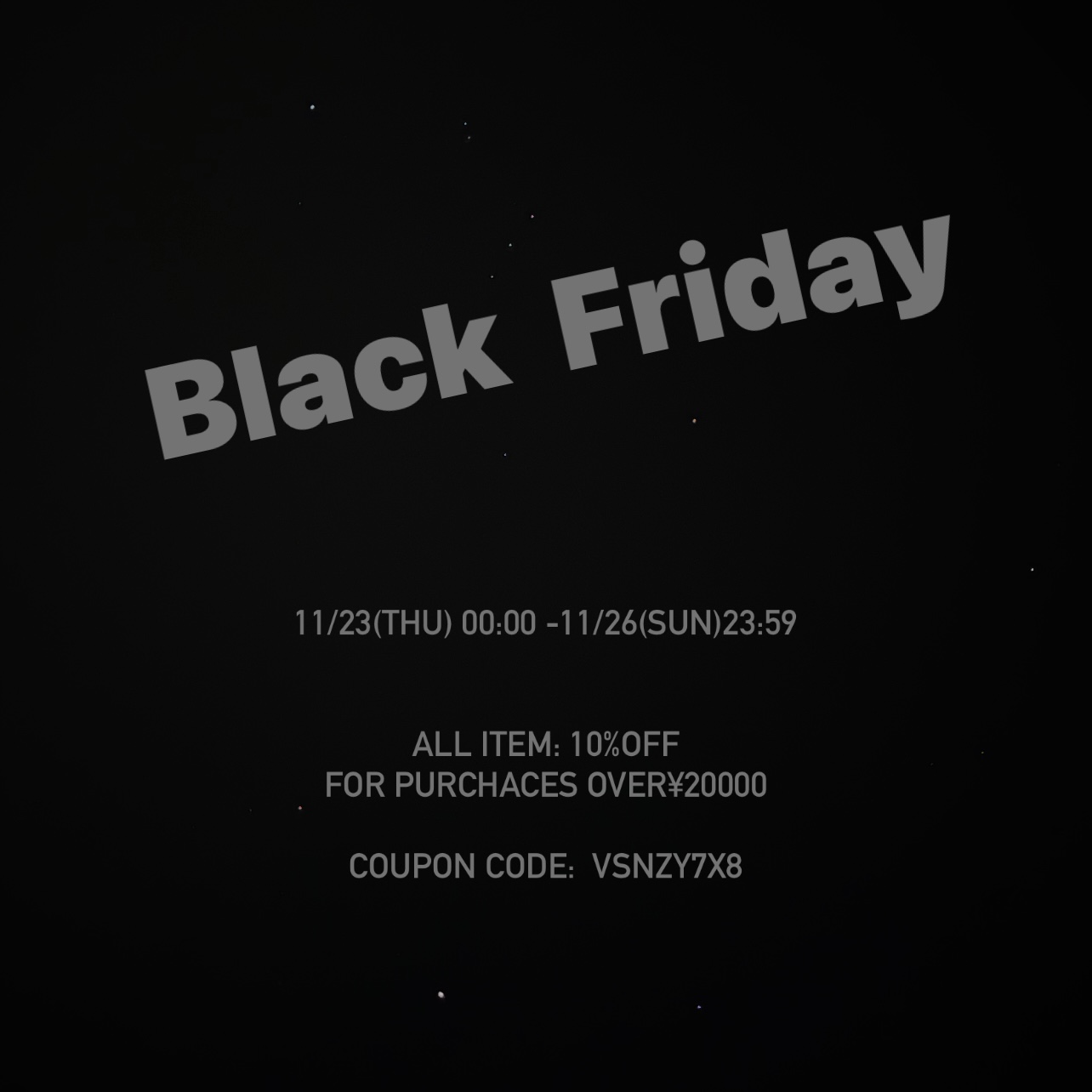 Black Friday coupon campaign : all item 10%off