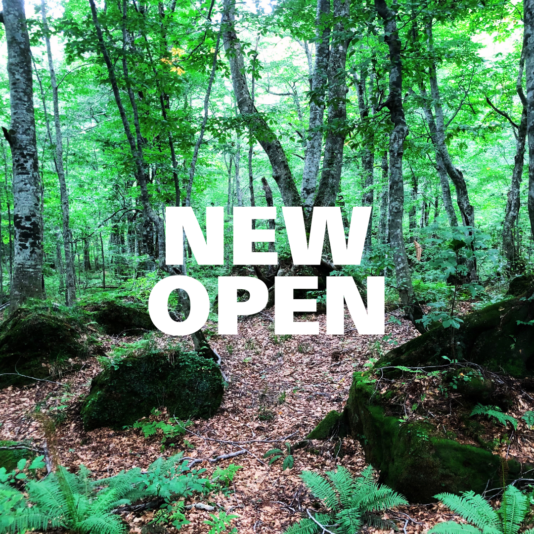 8月1日よりOPENしました！