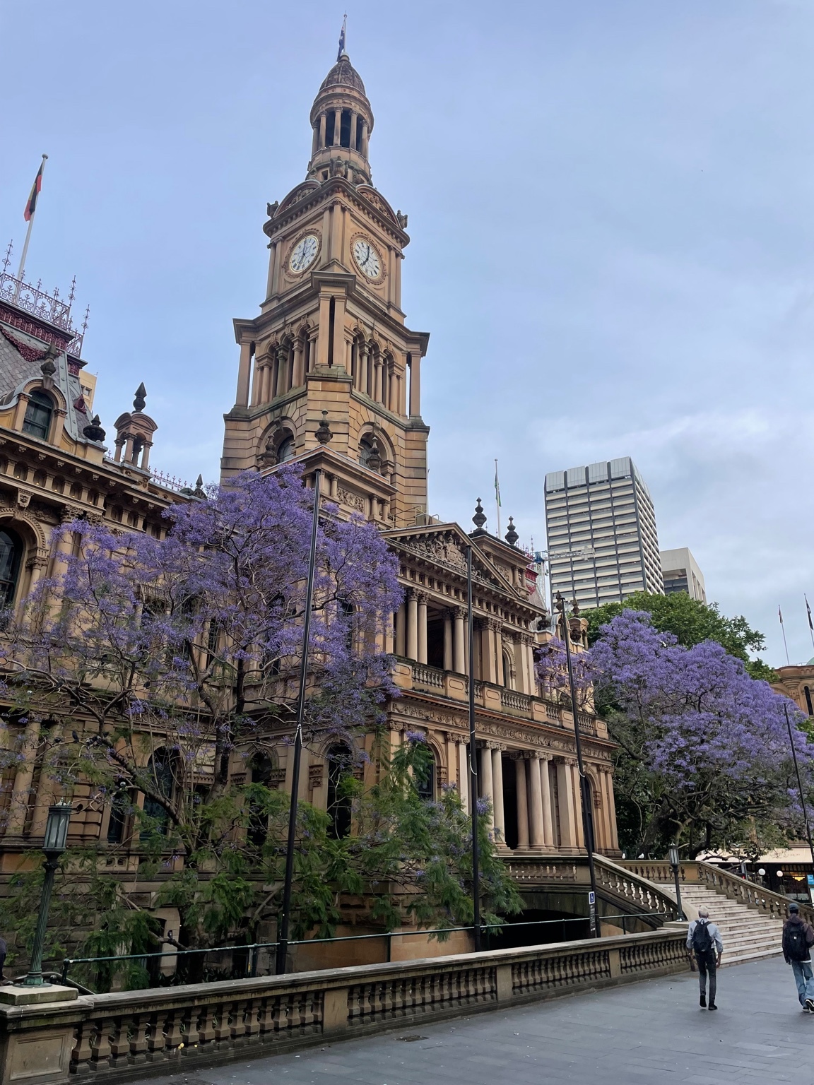 世界に広がる日本茶の輪