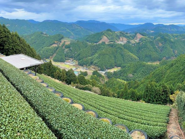 100日先の予約を待った「天空の茶の間｜豊好園」 その特別茶を届ける話