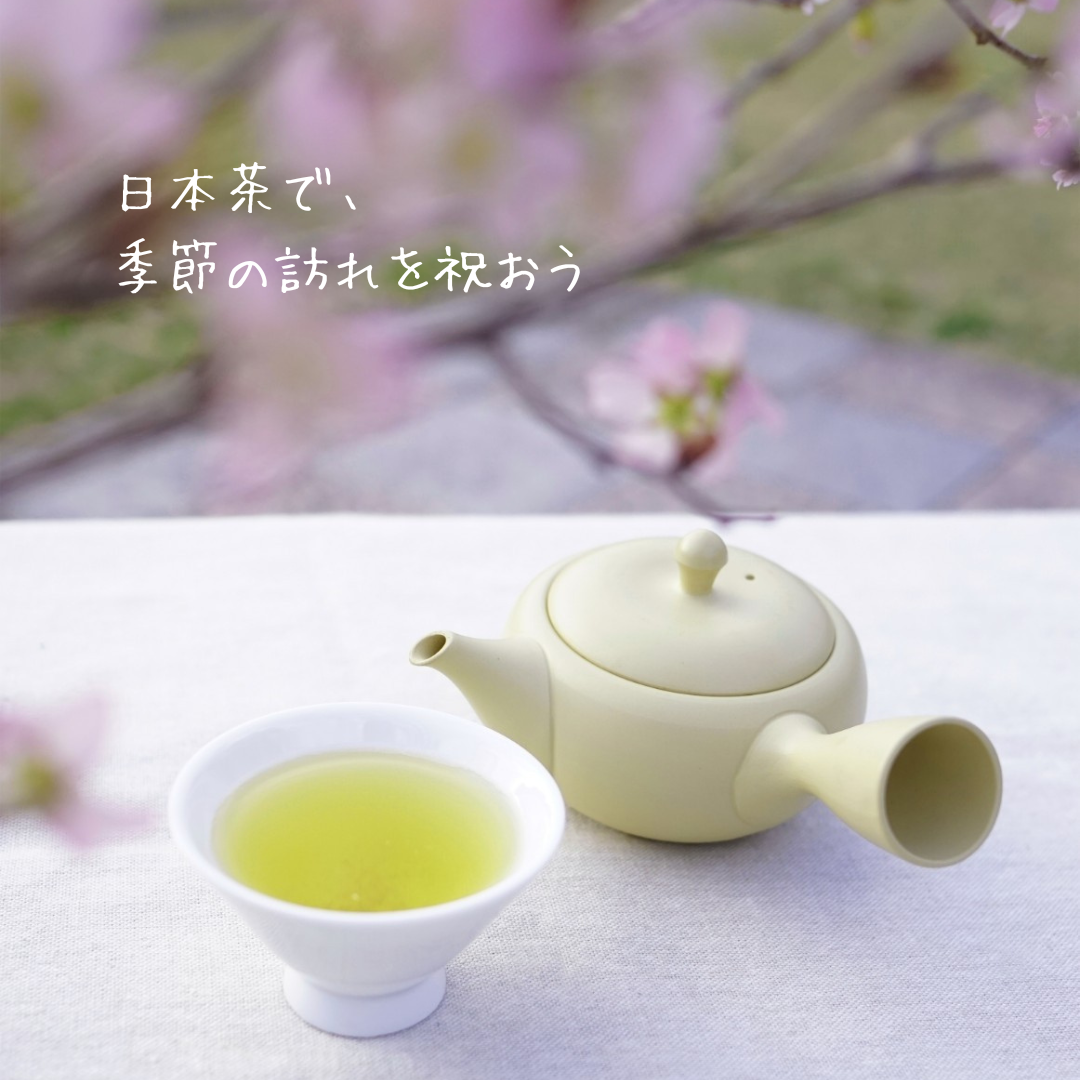 各種新茶のご予約受付を開始いたしました!
