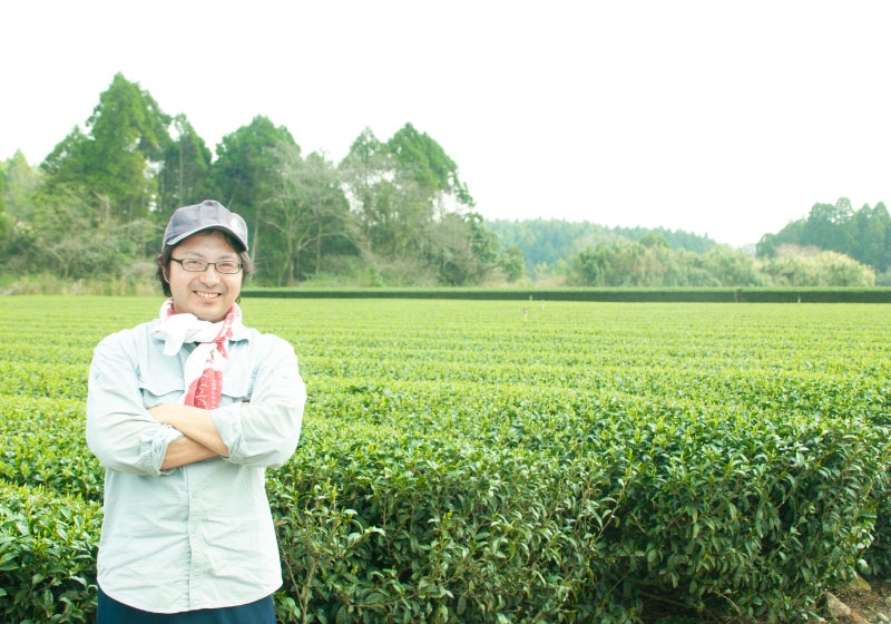 海外コンクール連続受賞！次世代生産者との合作｜煎茶「はんだほまれ」