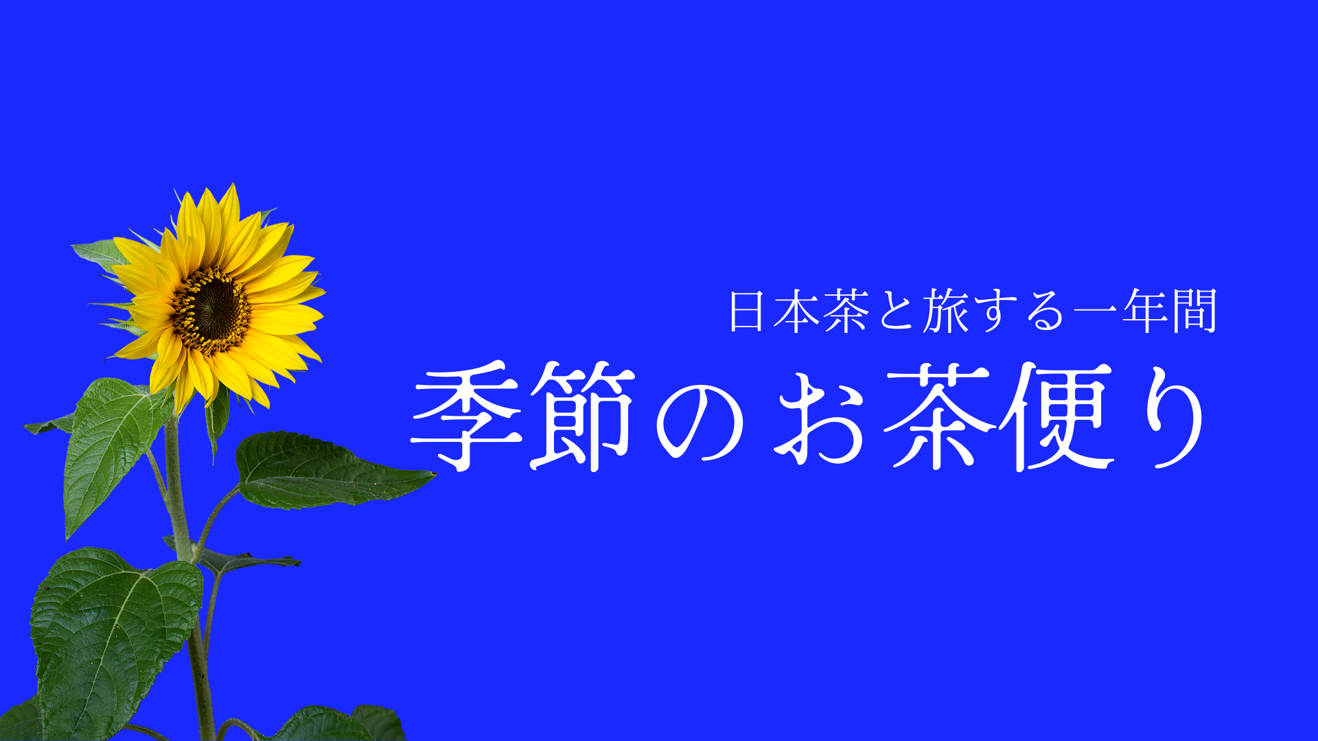 季節のお茶便り8月スタート回、ご予約受付開始しました！