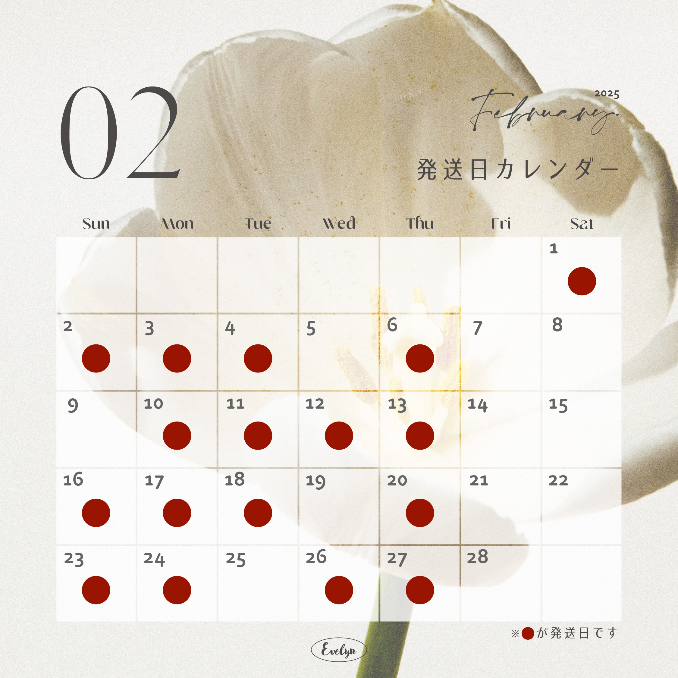 【Delivery Schedule】2025年2月発送日のお知らせ