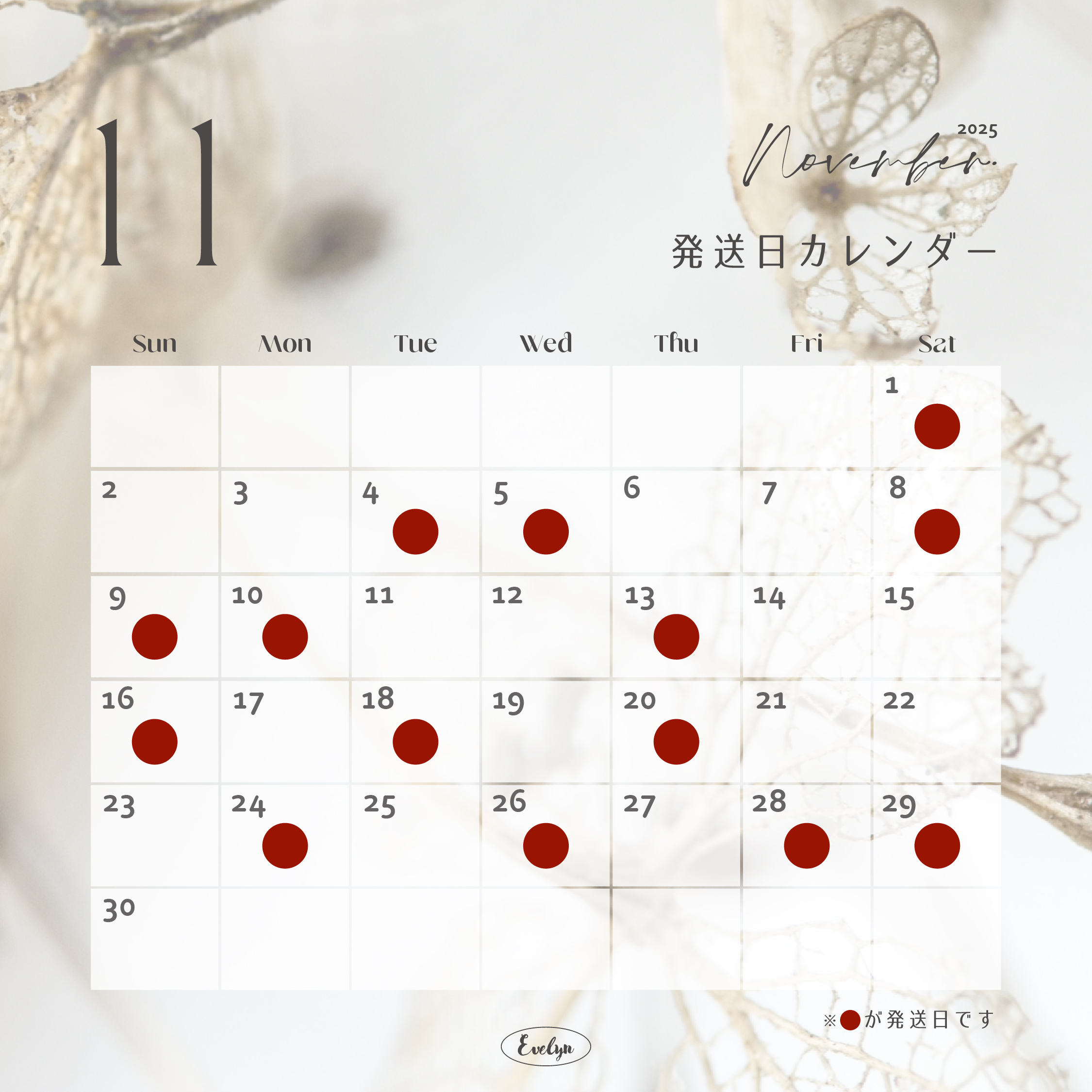 【Delivery Schedule】2025年11月発送日のお知らせ